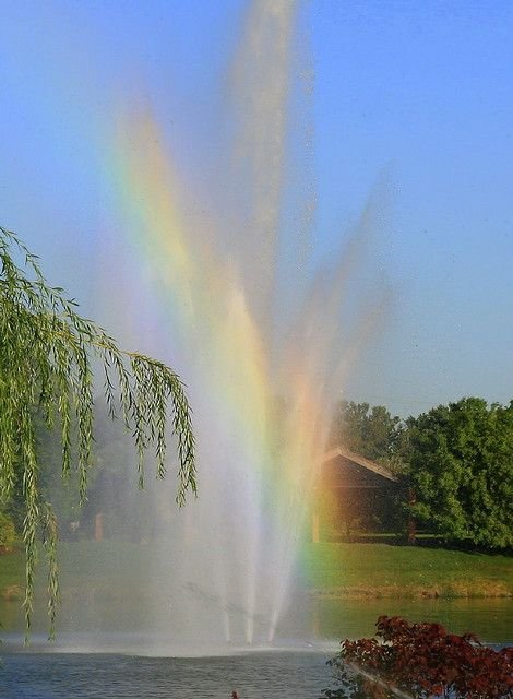 🏞️ 십왕 댐 (쥬오다무) 이미지 6